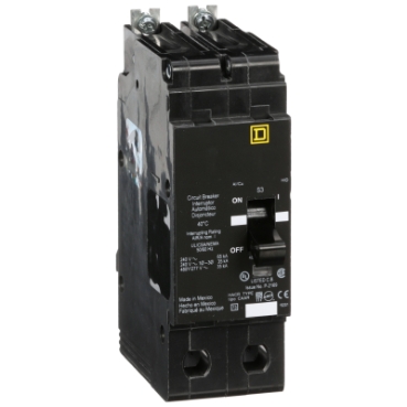 Schneider Electric EGB24045 Picture