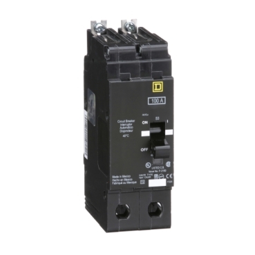 Schneider Electric EJB24100 Picture