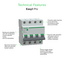 Easy9 Pro 4P C 25A MCB 6000A-EZ9F57425-Technical Feature