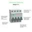 Easy9 Pro 4P C 50A MCB 6000A-EZ9F57450-Technical Feature