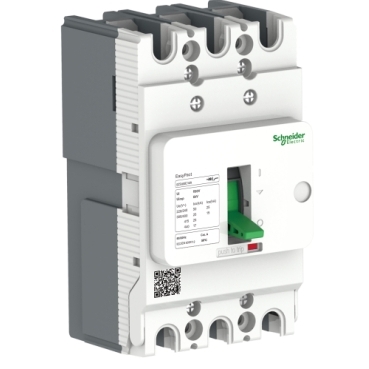 EZS100F3080 Product picture Schneider Electric
