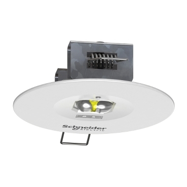 Exiway Smartbeam Schneider Electric Nödljusarmatur för övervakning av öppna utrymmen med fokus på diskret design för att smälta in med omgivningen. Armaturen har flera ljusfördelningar och finns som både infälld och ytmonterad version.