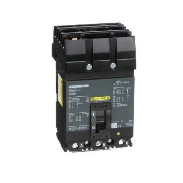 Schneider Electric FA36060 Picture