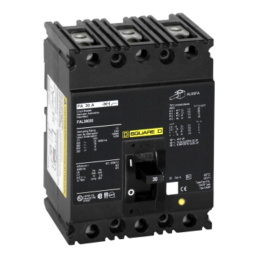 Schneider Electric FAL36030 Picture