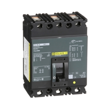 Schneider Electric FAL34060 Picture