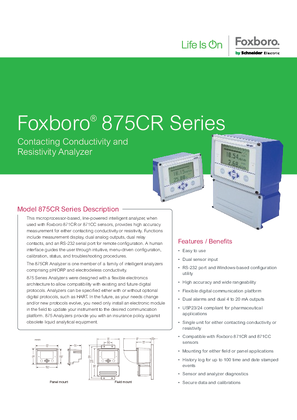 875CR Transmitter for Contacting Conductivity and Resistivity Datasheet