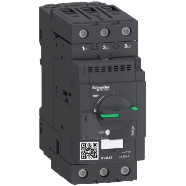 TeSys Deca - frame 3 Schneider Electric Thermal-magnetic and magnetic motor circuit-breakers up to 80 A and 45 kW