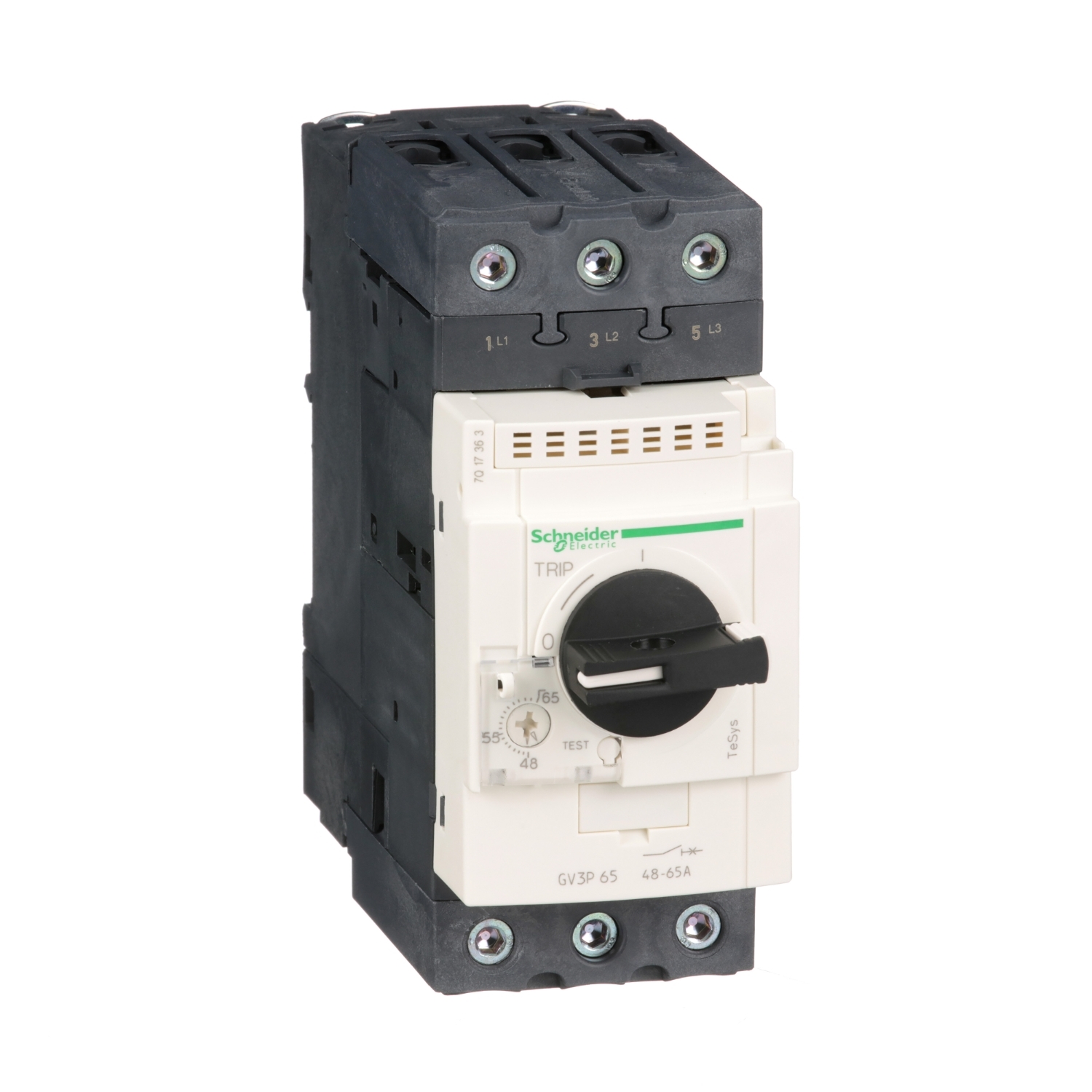 Motor circuit breaker, TeSys Deca, 3P, 48 to 65A, thermal magnetic, EverLink terminals