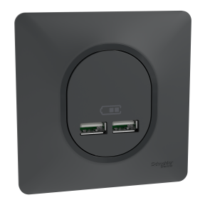 Ovalis - double chargeur USB A+A 10,5W - Anthracite - Mat