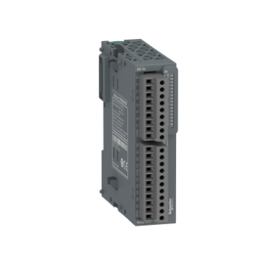 Schneider Electric TM3RDM16R Image