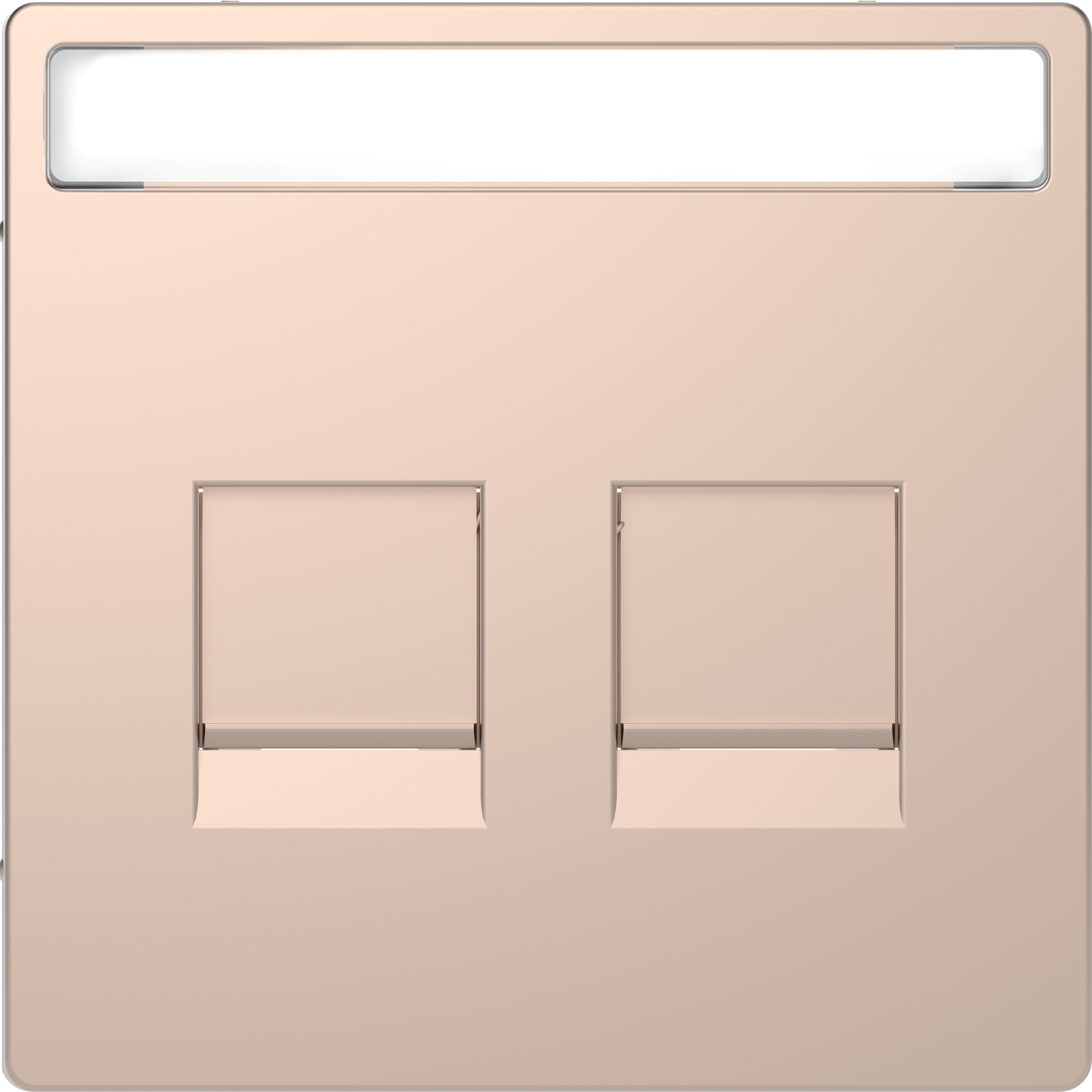 Enjo RJ45 porte-étiq champagne
