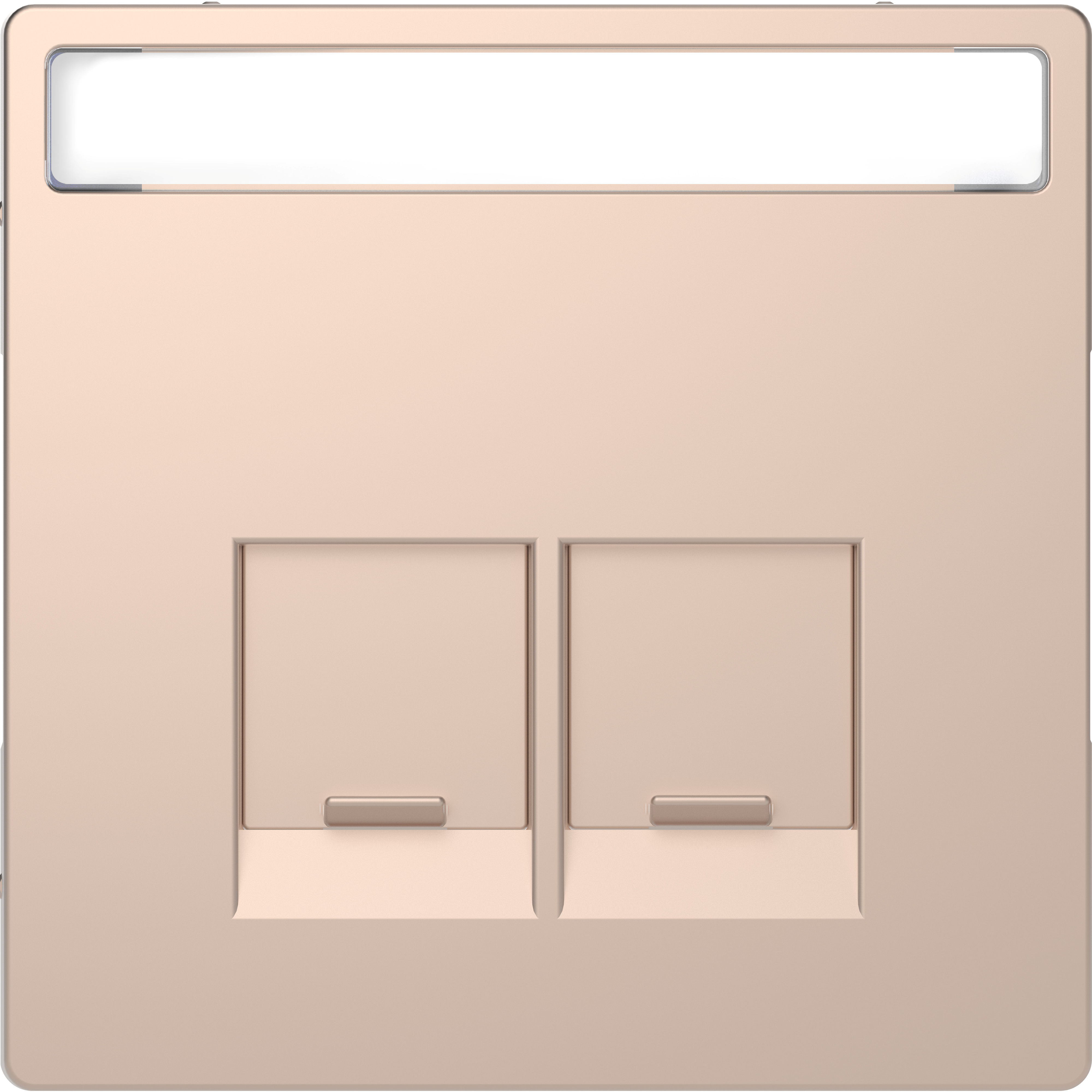 Enjo étiquette RJ45x2 champ.