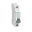 Schneider Electric MG24435 Picture
