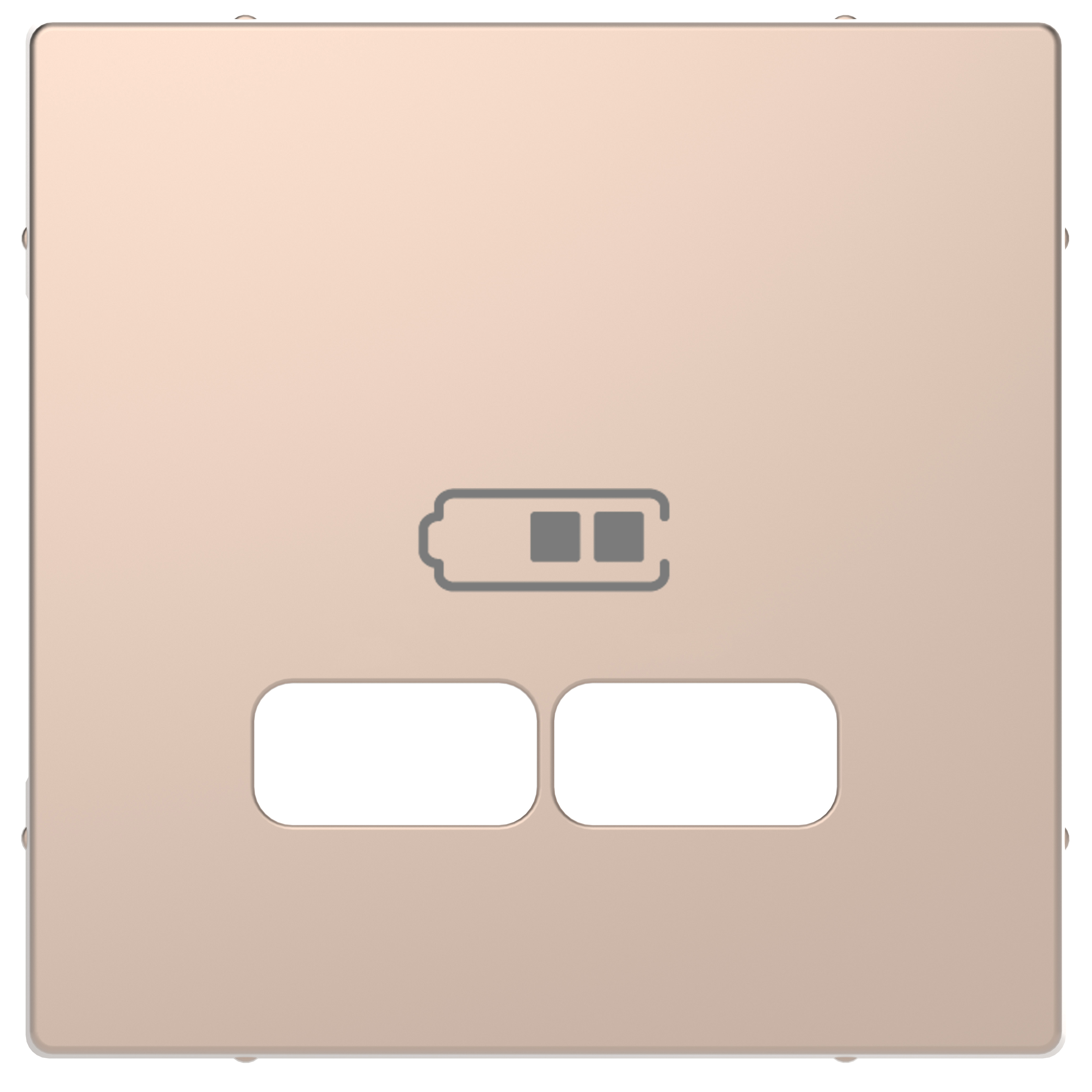 Enjo chargeur double USB champ