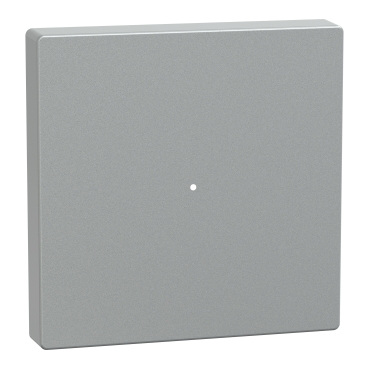  MTN625160 MTN625160 ROCKER F. PUSH-BTN.MOD. 1G TPM ALU SYSM  