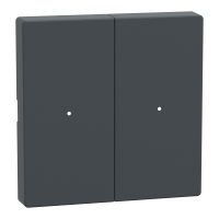  MTN625214 MTN625214 ROCKER F.PUSH-BTN.MOD. 2G TPM ANT SYSM  