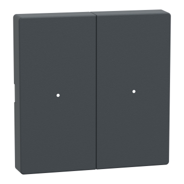  MTN625214 MTN625214 ROCKER F.PUSH-BTN.MOD. 2G TPM ANT SYSM  