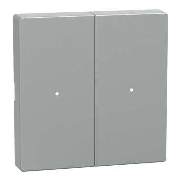  MTN625260 MTN625260 ROCKER F.PUSH-BTN.MOD. 2G TPM ALU SYSM  