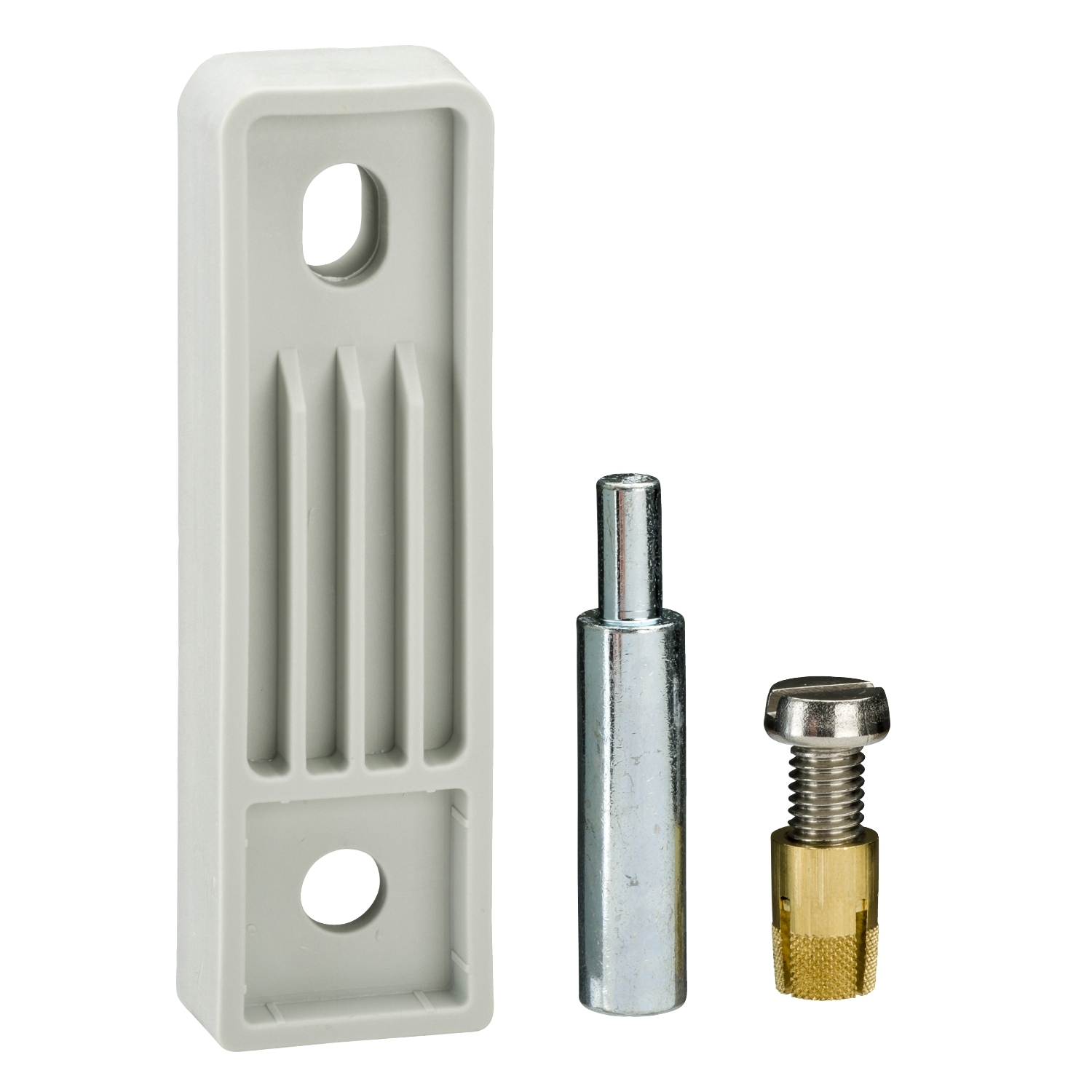 Nsypfplmg Set Of 4 Polyamid Wall Mounting Lugs For Plm3025 To 108 Schneider Electric Global