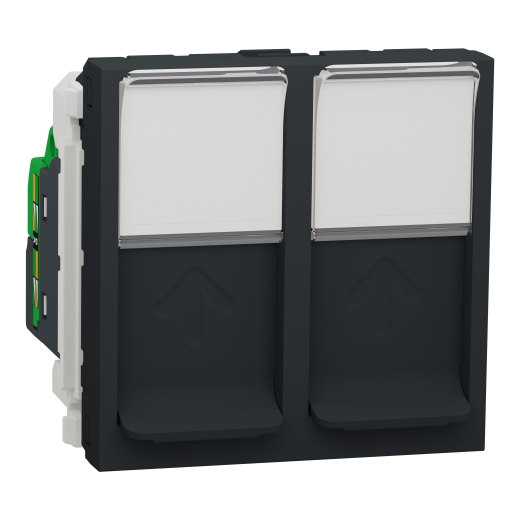 Priză Dublă RJ45 Noua Unica CAT6 FTP 2m Antracit , NU342654, Schneider Electric - Schneider [1]