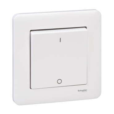 WDE008207 Schneider Electric Image