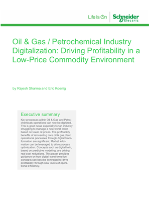 Oil and Gas / Petrochemical Industry Digitalization Driving Profitability in aLow-Price Commodity Environment