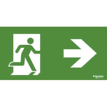 Emergency Lighting| Schneider Electric Egypt