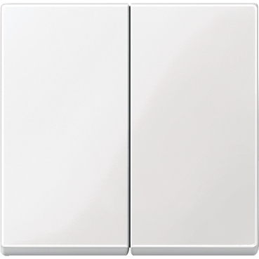 MERTEN Dupla billentyű, System-M, polárfehér MTN432519