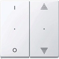  MTN619525 MTN619525 ROCKERS F.PU.BTN.MOD.2G MARK.TPB AW SYSM  