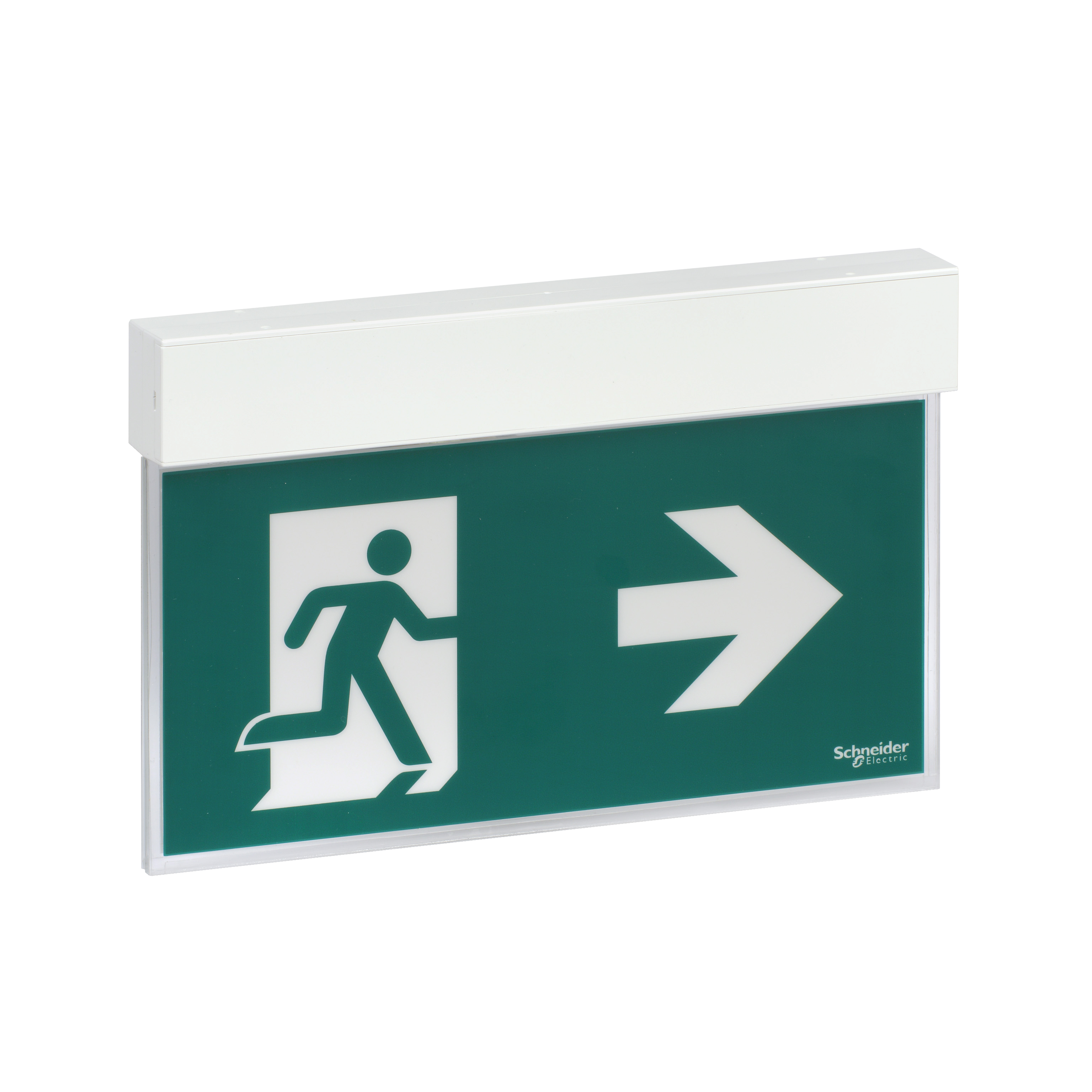Emergency luminaire, Exiway Easysign, Standard, 3h, IP40, 24m, maintained and non-maintained, white
