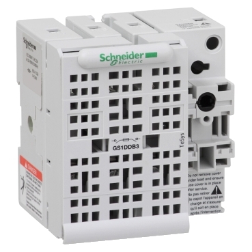 Schneider Electric GS1DDB3 Picture