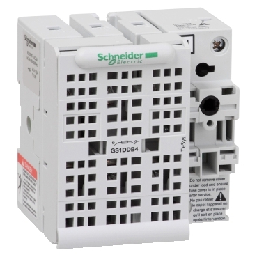 Schneider Electric GS1DDB4 Picture
