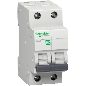 EZ9F76216 Product picture Schneider Electric