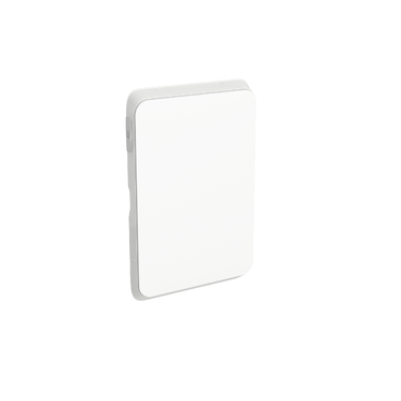 PDL Iconic Switch Plate Skin, Blank, Horizontal/Vertical Mount