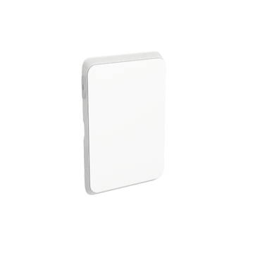 Iconic, Switch Plate Skin, Blank, Horizontal/Vertical Mount