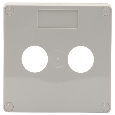 56 Series, Enclosure Lid, 1-Gang 2-Mounting Hole IP66