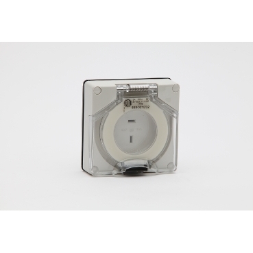 56 Series, Socket, 32A 250V 1-Phase 2-Flat Pin IP66