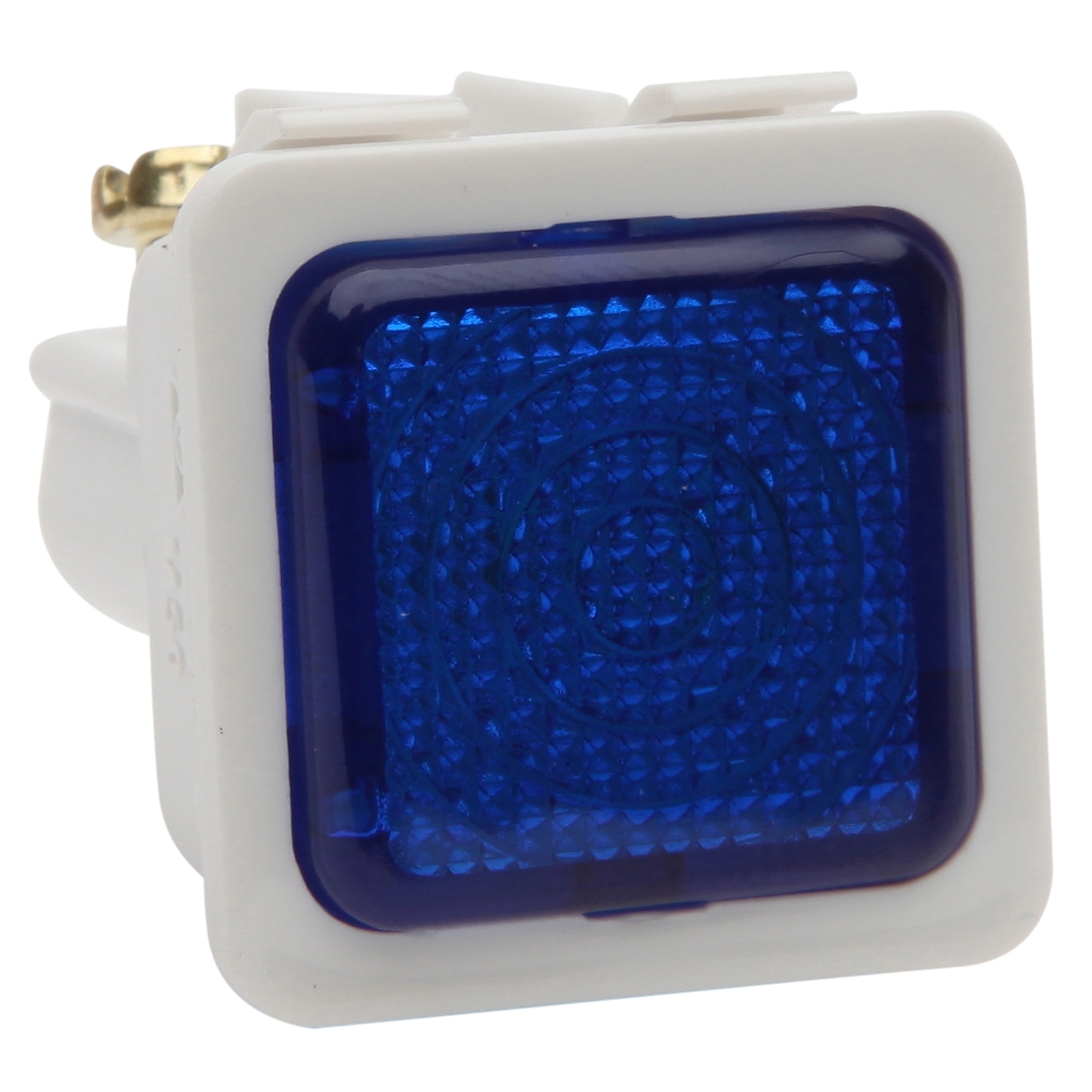 Illuminated Module With Neon Indicator; 24VAC/DC, White Module, Blue