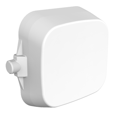 Iconic, Essence Dolly Rocker Switch