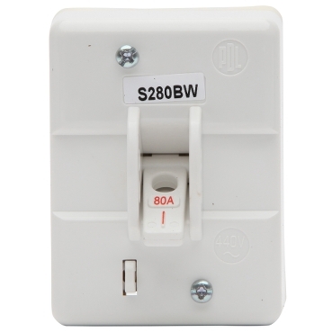 S Series, Mains Switch, 80A 2P Back Wired IP66, White