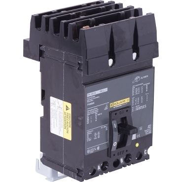 Schneider Electric FH36045 Picture