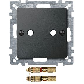 Zentralplatte mit High-End Lautsprecher-Steckverbinder, anthrazit, System M