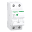 Afbeelding product R9F64216 Schneider Electric