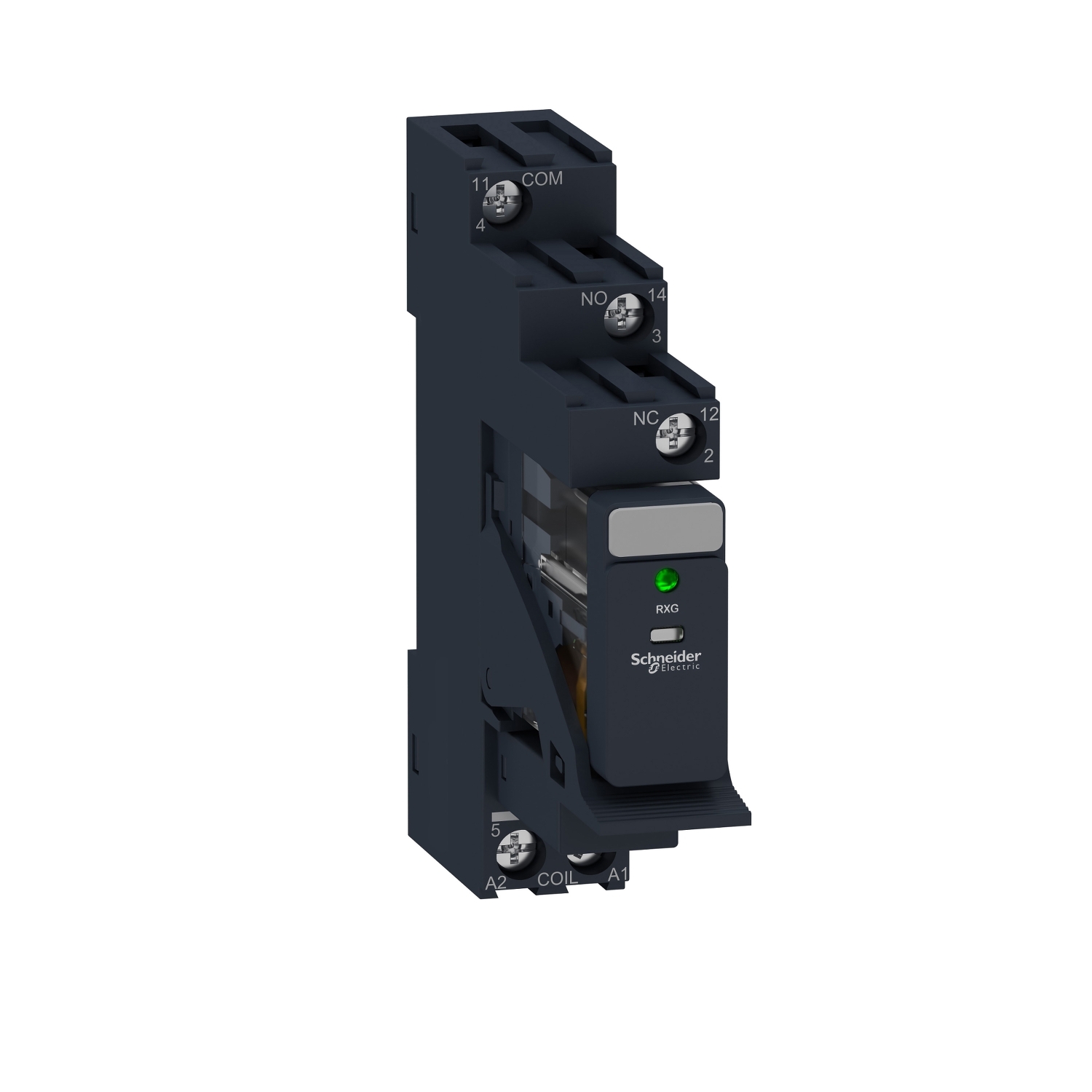 Csatolórelé 10A 1-v dugaszolós 10A 0-24VDC monostabil IP20 Zelio RXG Schneider