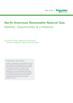 renewable natural gas Whitepaper