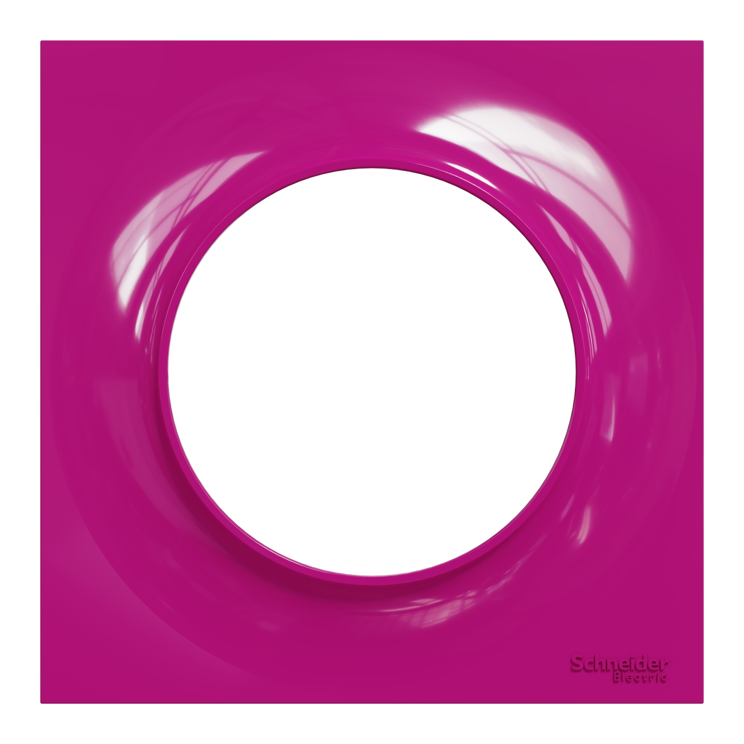 files?p_Doc_Ref=S520702D_IOP-front_WD&p_File_Type=rendition_1500_jpg
