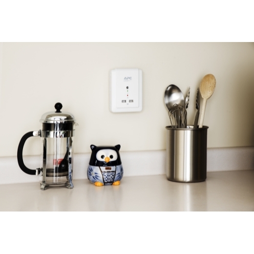 APC Essential SurgeArrest 6 Outlet Wall Mount With USB, 120V