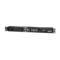 NetBotz Rack Monitor 250