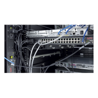 APC NetShelter Cable Management, Vertical Cable Manager, Cable Rings, Set of 8, Black, 55 mm x 766 mm x 85 mm