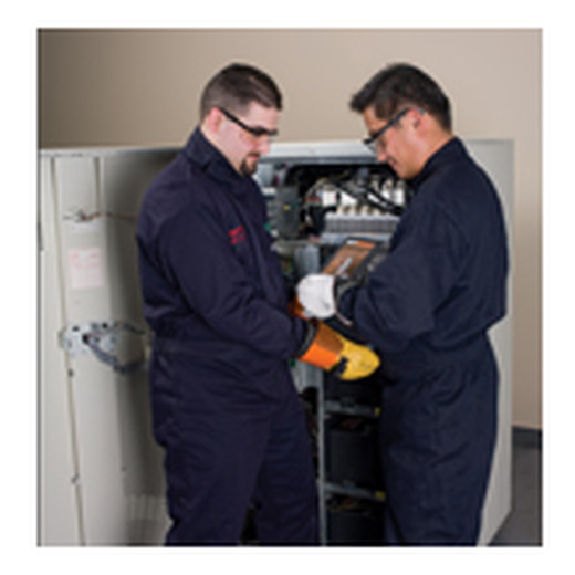 Scheduling Upgrade from 5X8 to 7X24 for Existing Battery Replacement Service - per battery